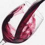 curso online cata de vinos